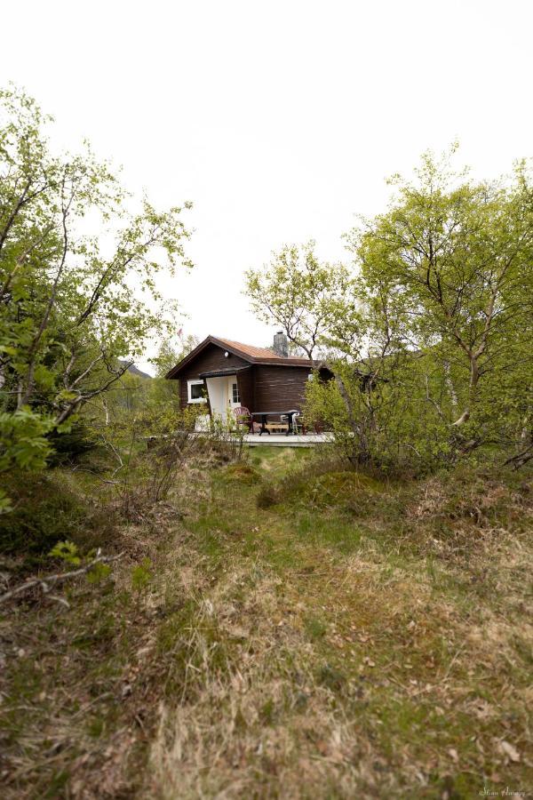 Haugteig Villa Lyngværet Eksteriør bilde