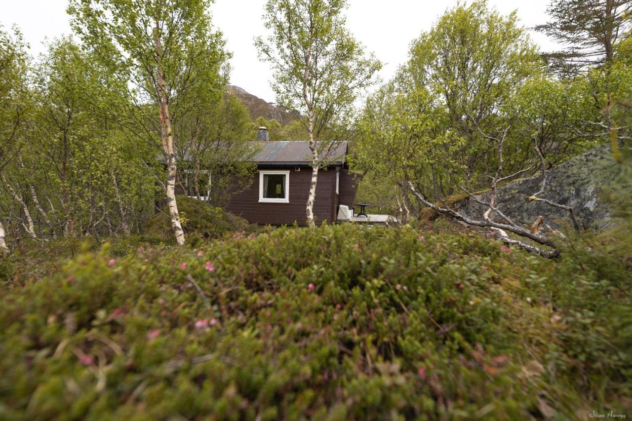 Haugteig Villa Lyngværet Eksteriør bilde