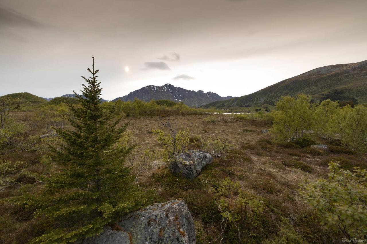 Haugteig Villa Lyngværet Eksteriør bilde