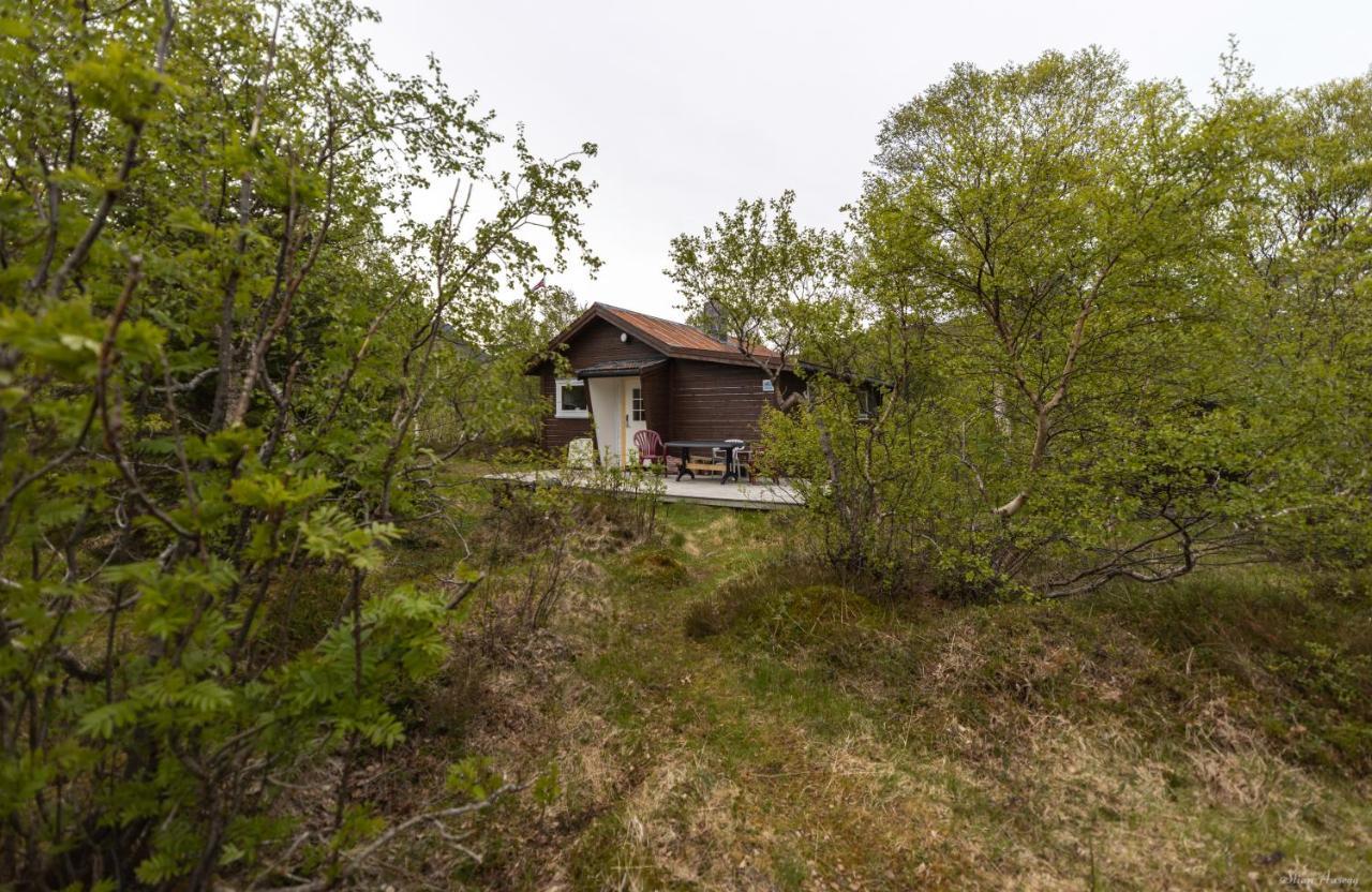 Haugteig Villa Lyngværet Eksteriør bilde